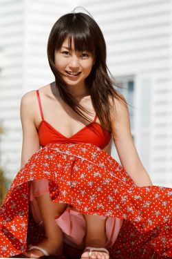 孔雀圣使请动心电视剧免费观看